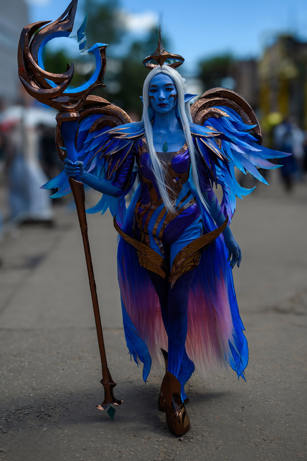 Photo #14204266
