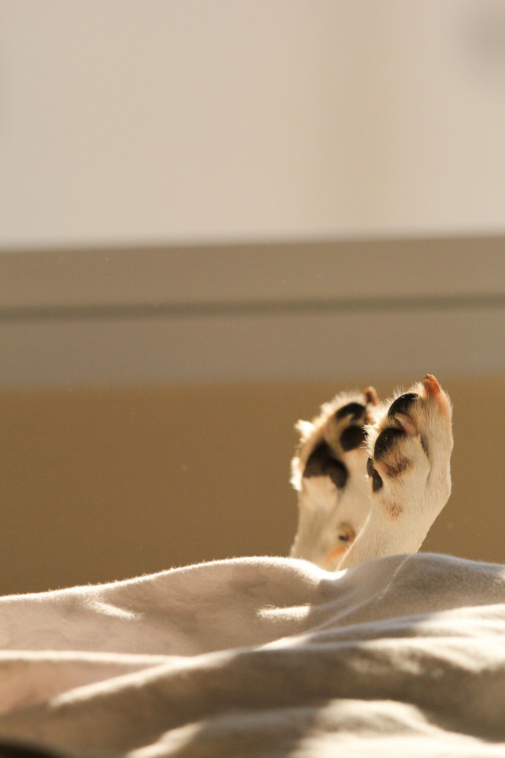 Photo #14204315