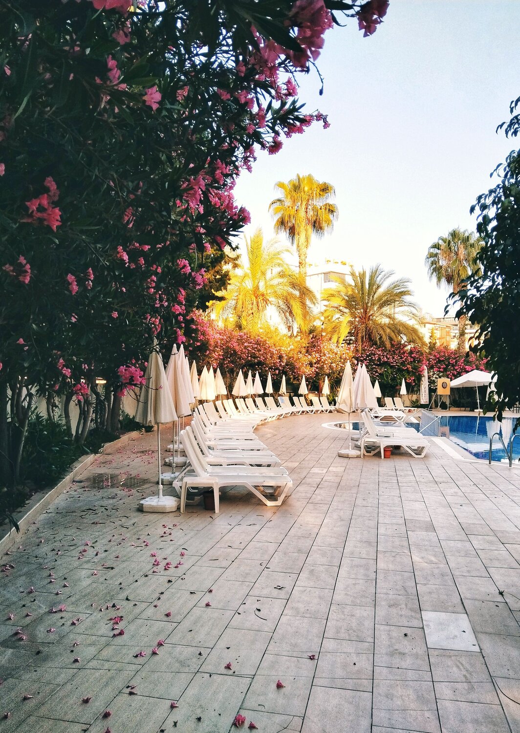 Photo #14204363