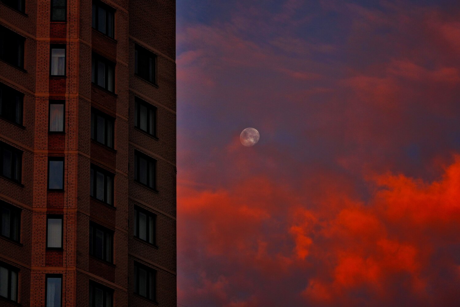 Photo #14204384