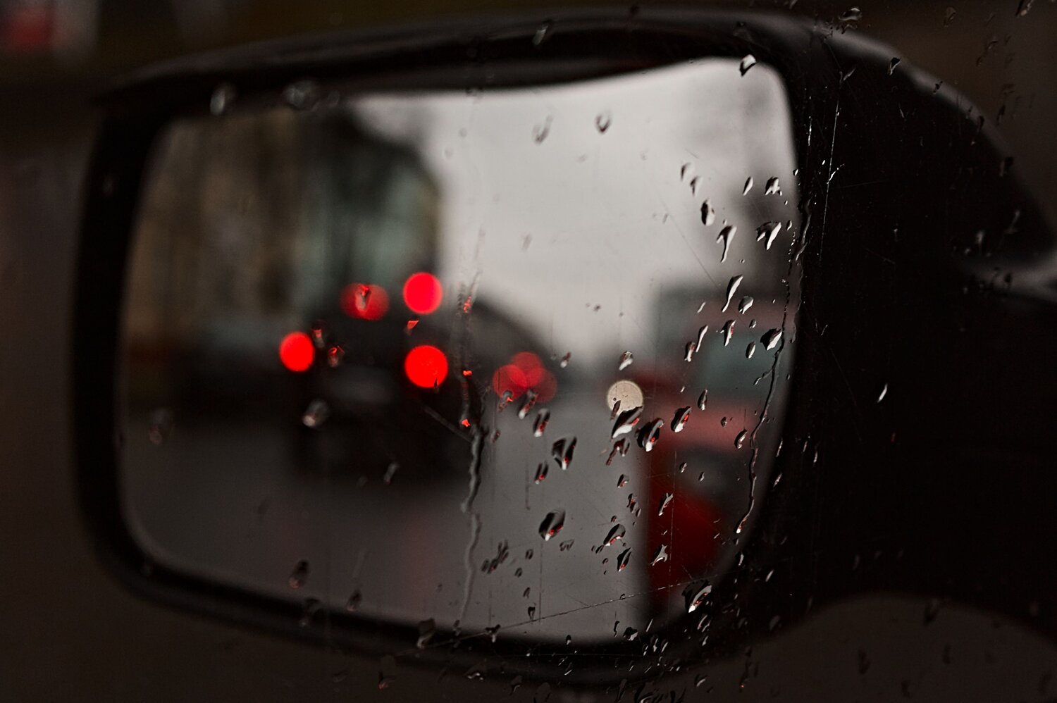 Photo #14204419