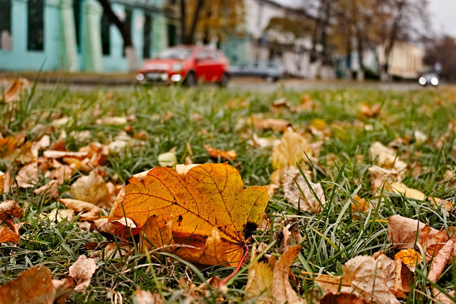Photo #14204443