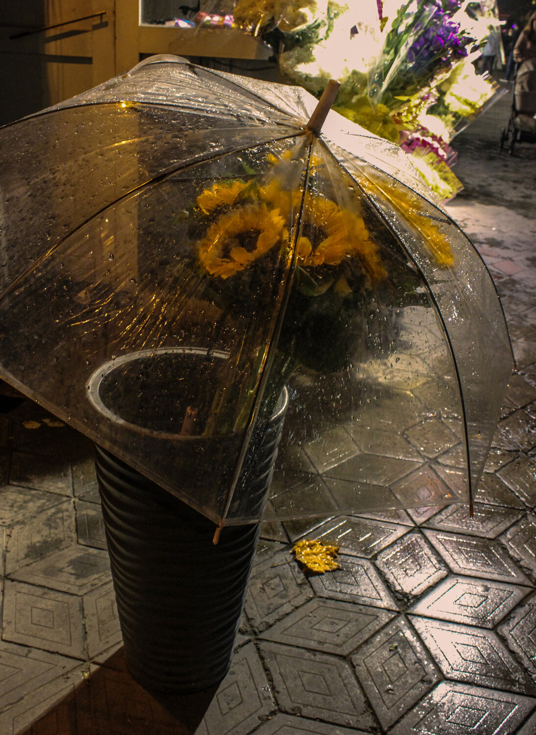 Photo #14204598