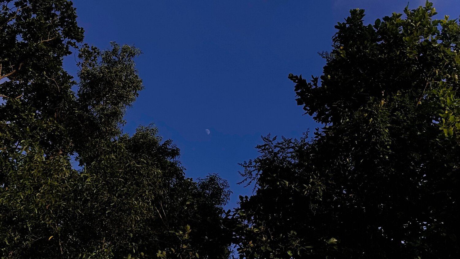 Photo #14205355