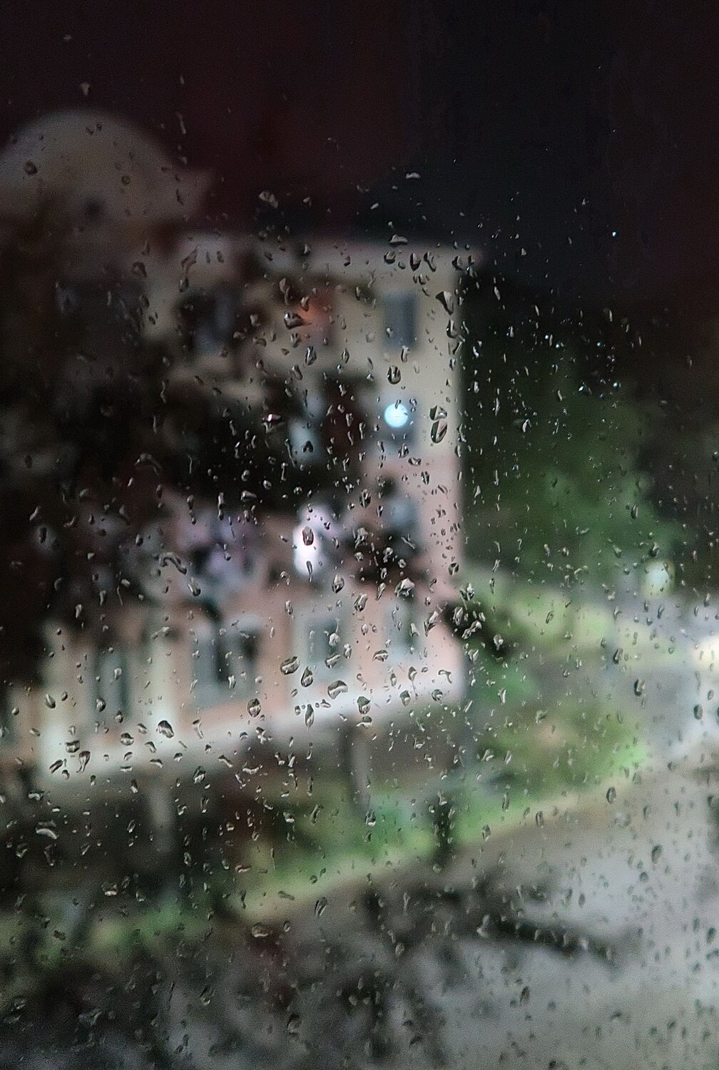 Photo #14205375