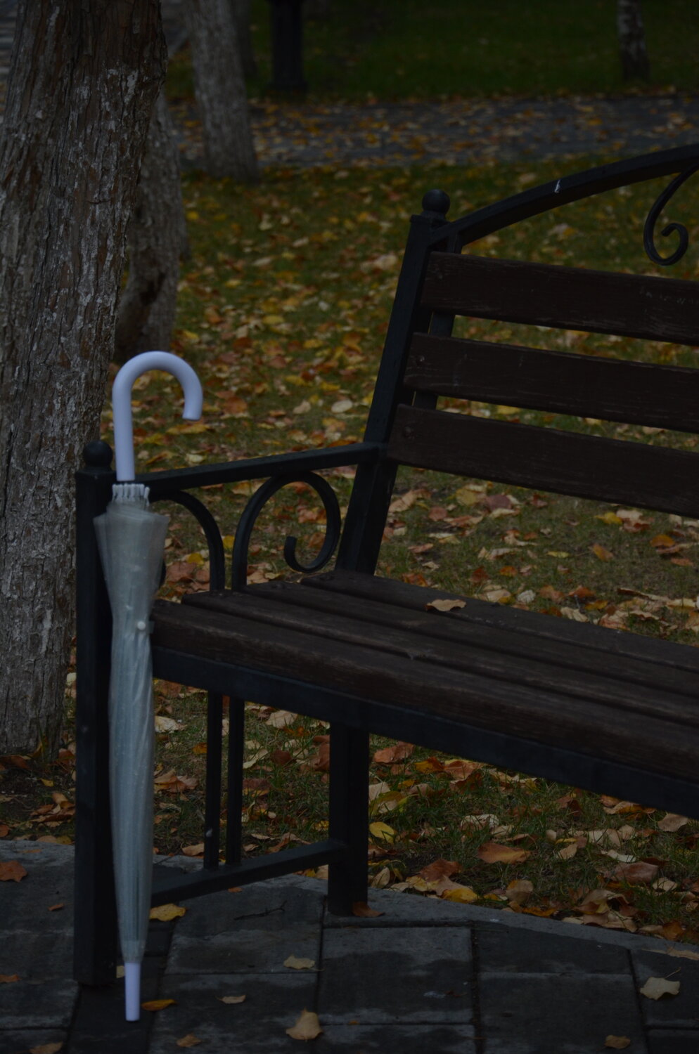 Photo #14205623