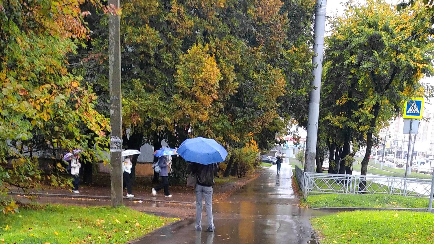 Photo #14205745