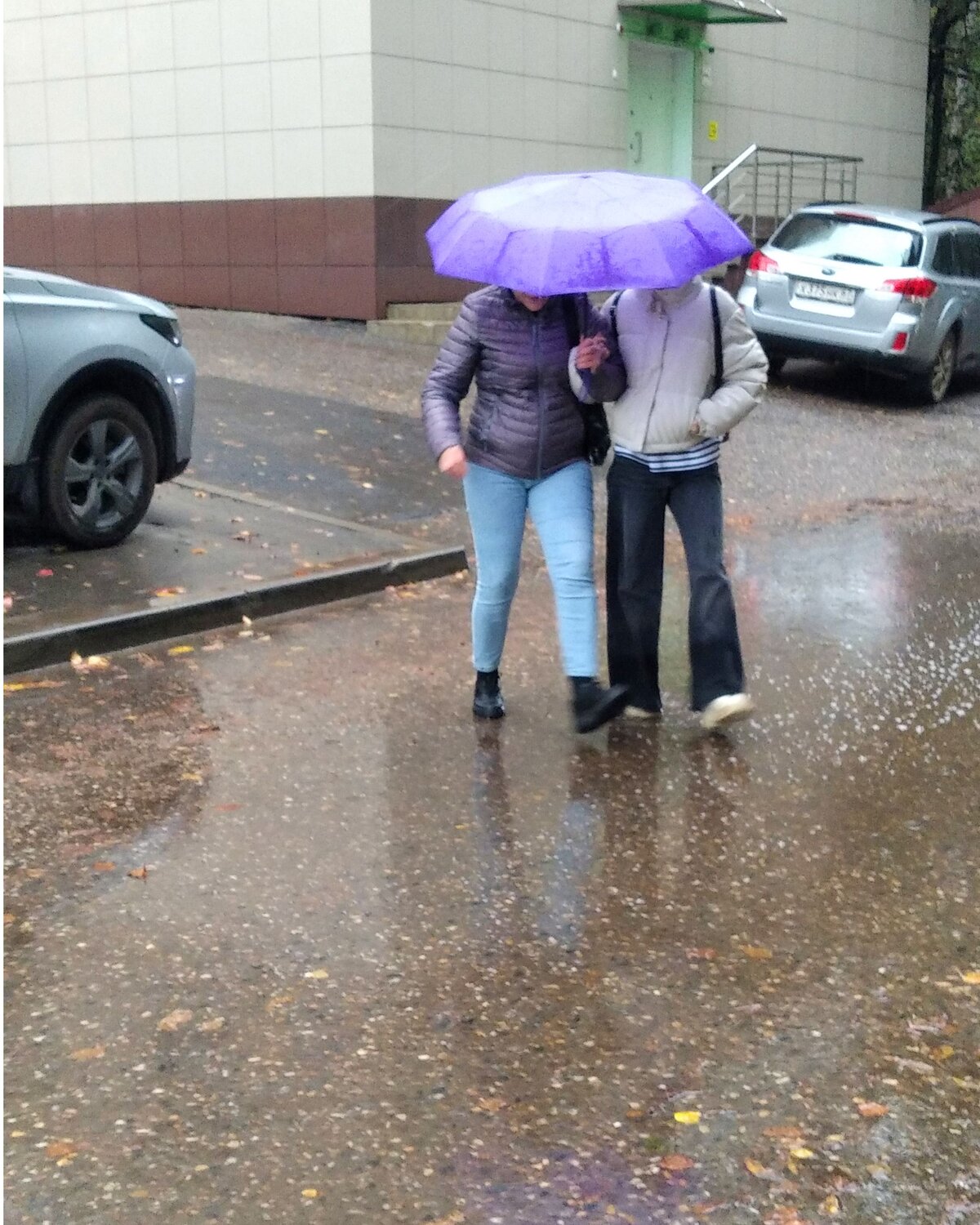 Photo #14205747