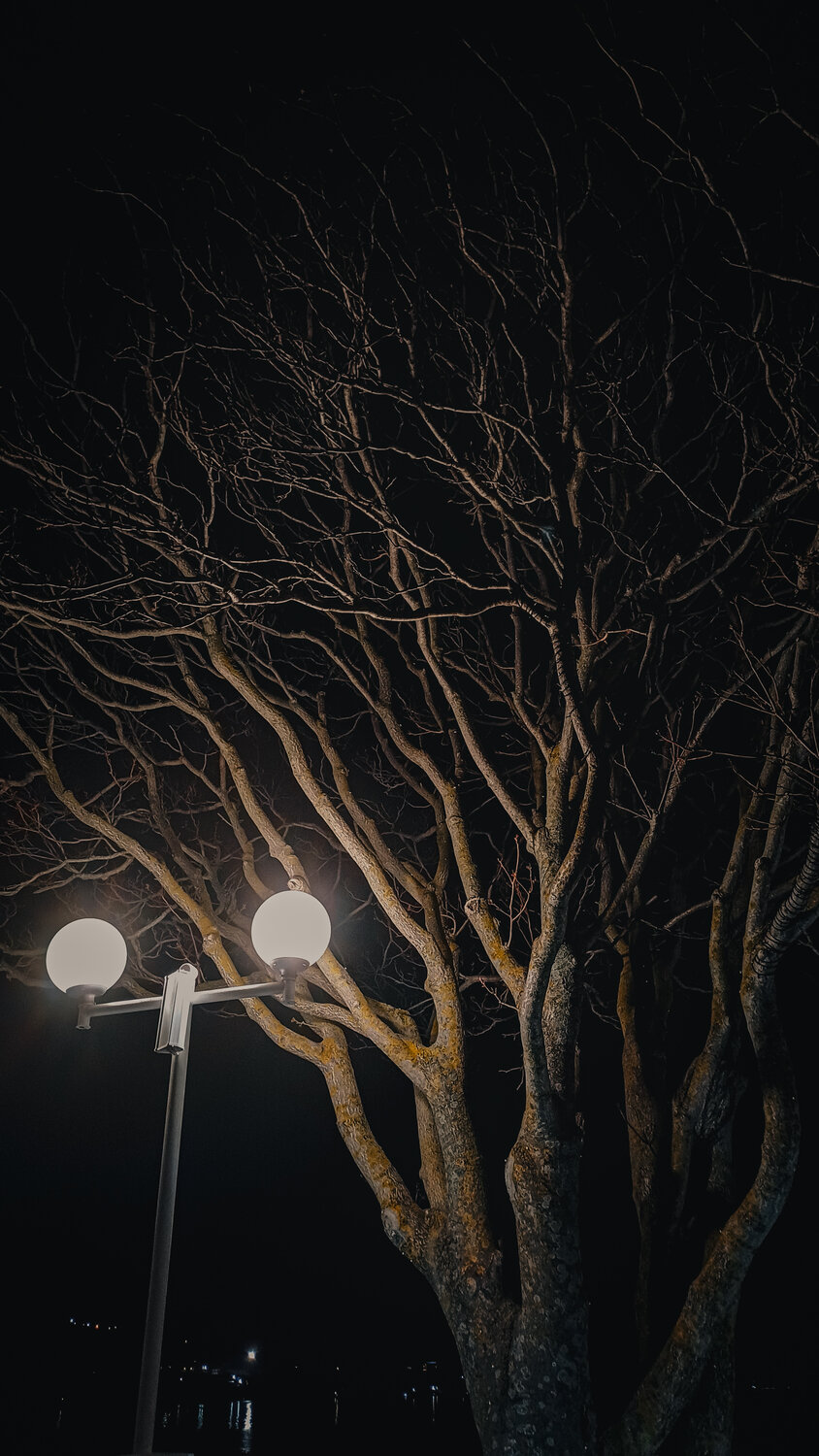 Photo #14205902