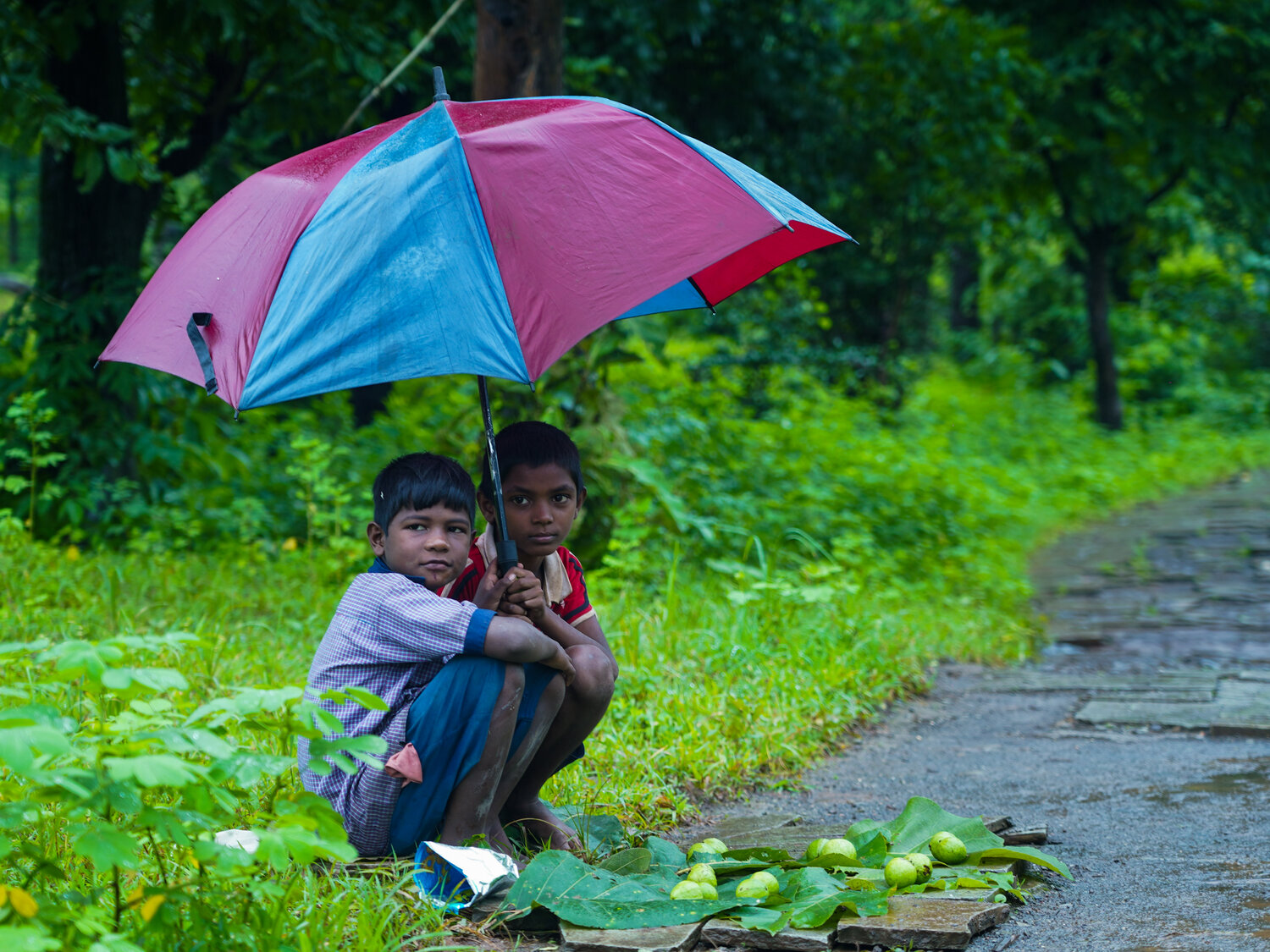 Monsoon Moments,Leaf & Shelter