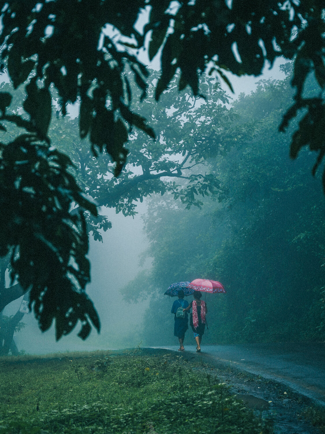 Walk Through the Mist