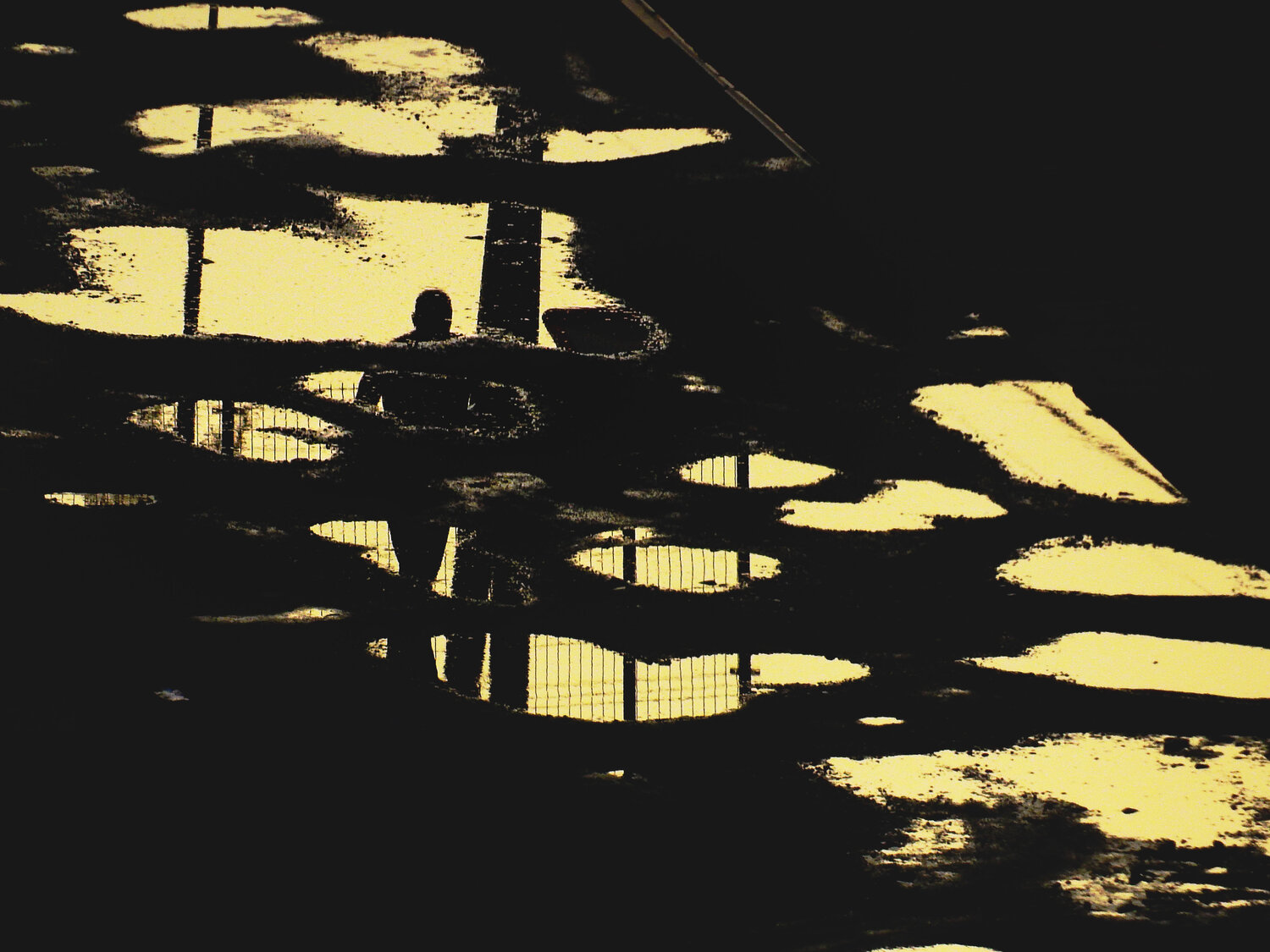 Photo #14206097