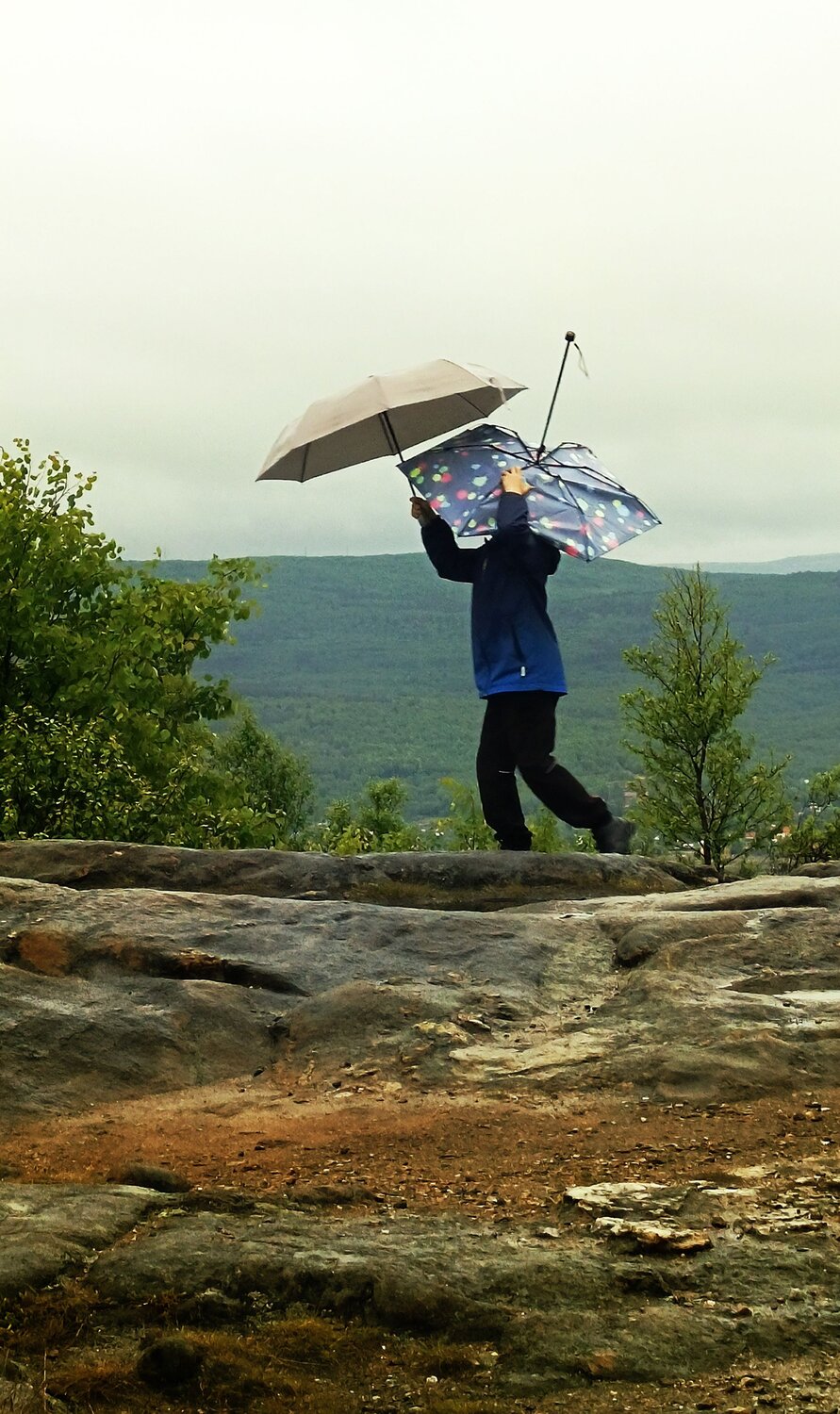 Photo #14206123
