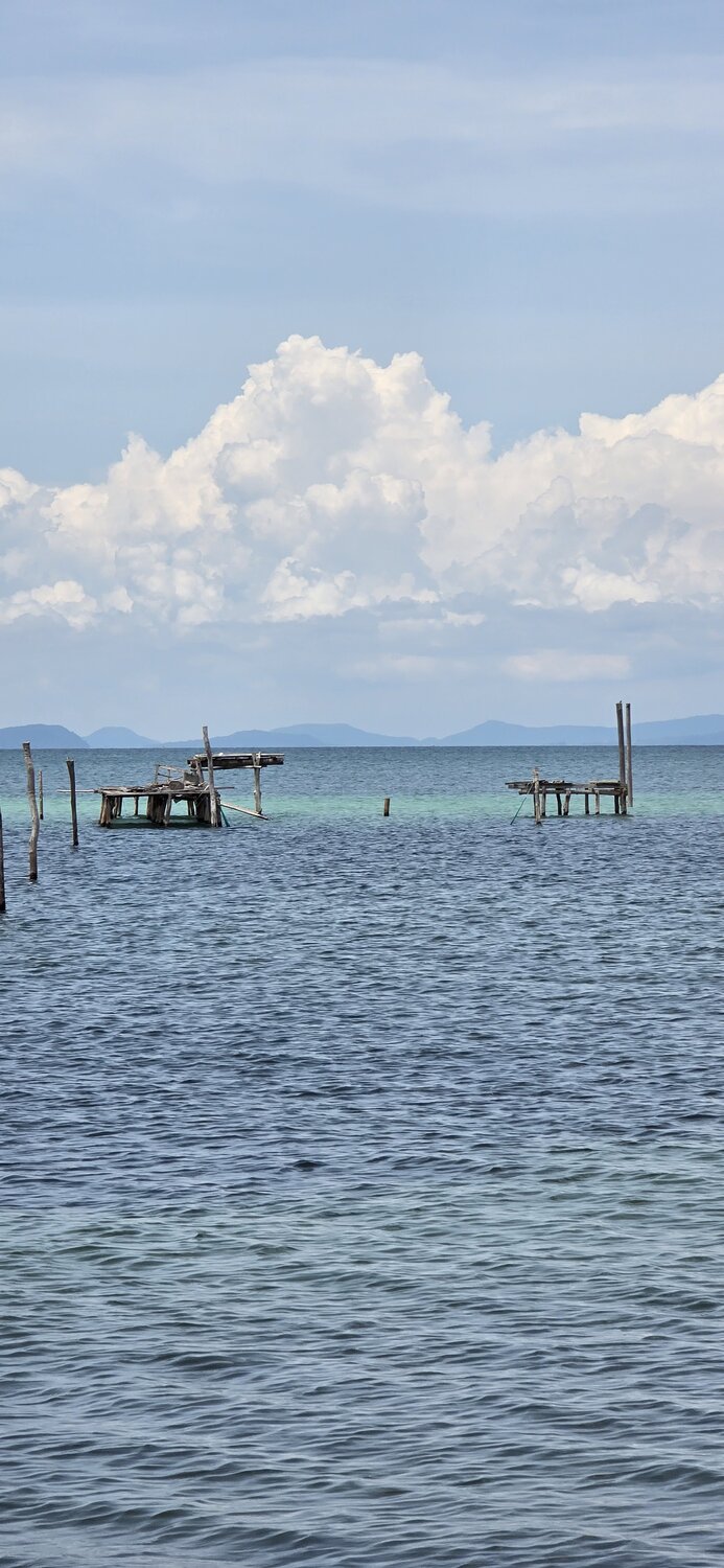 Photo #14206134