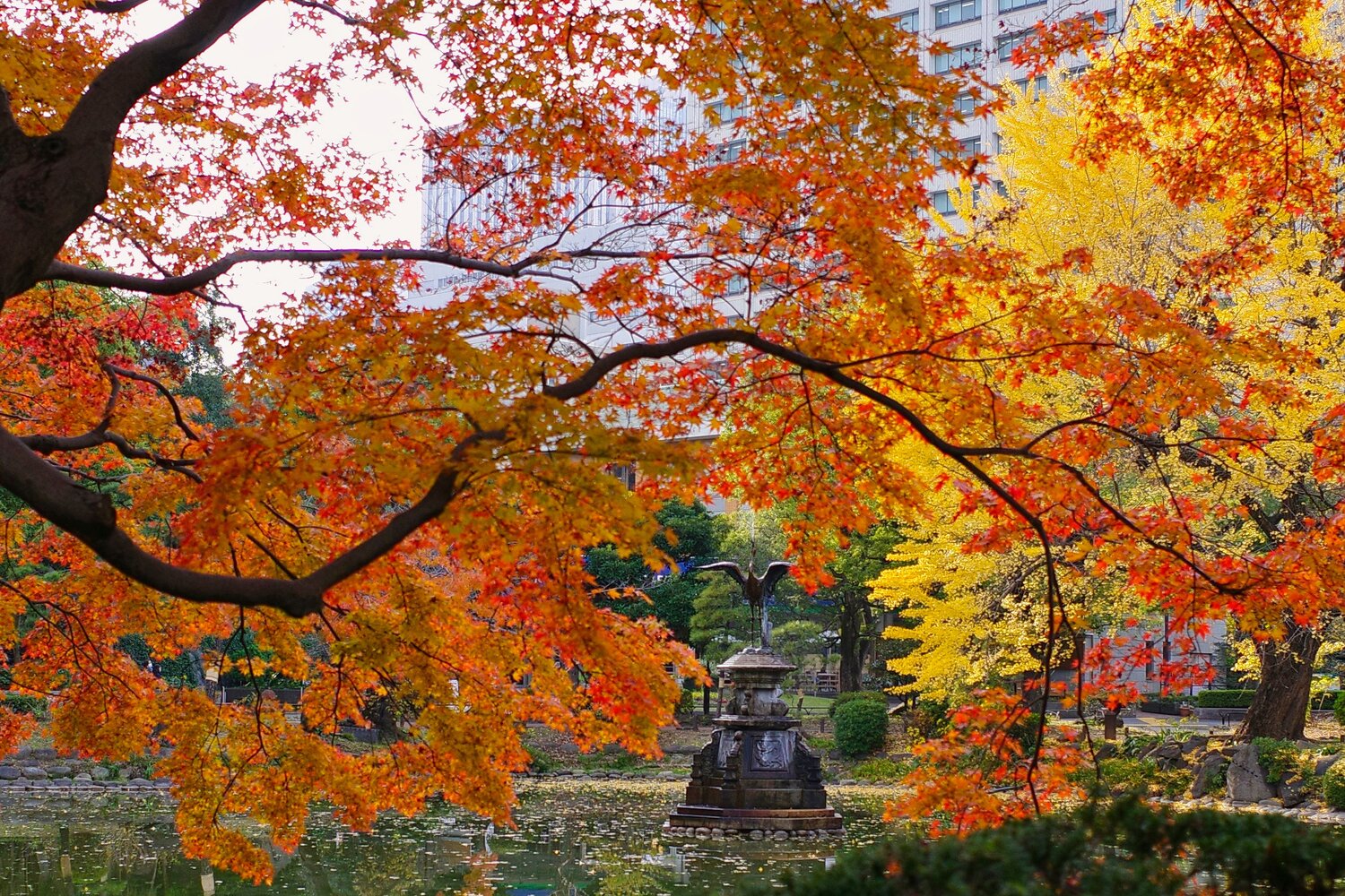 120 Years, Layered in Color
