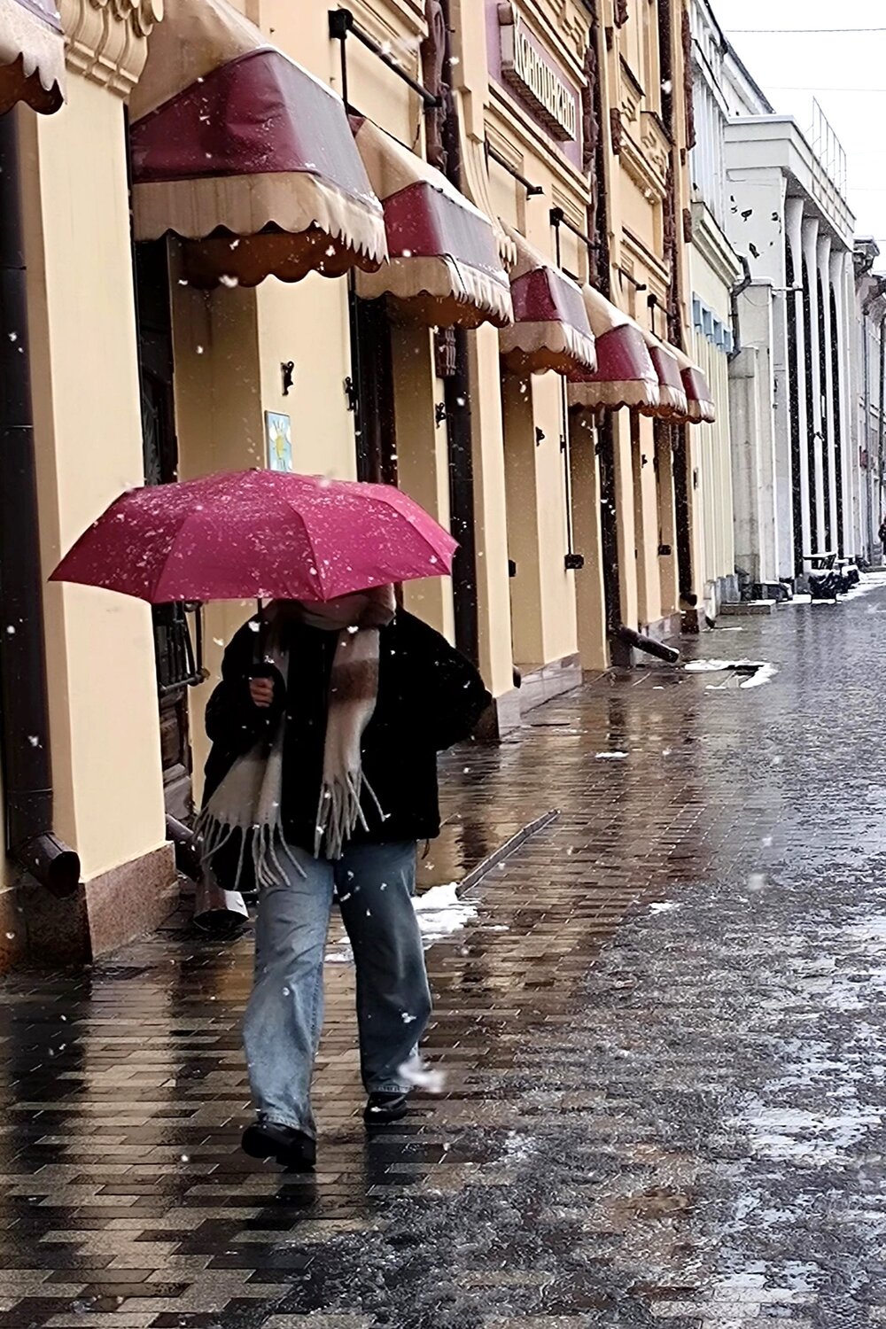 Photo #14206377