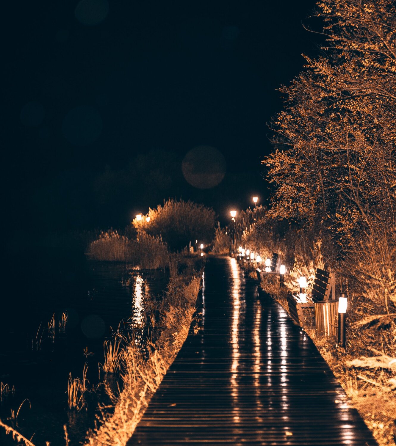 Photo #14206485