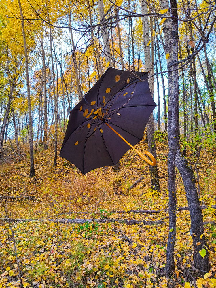 Photograph by Любовь Войтишина