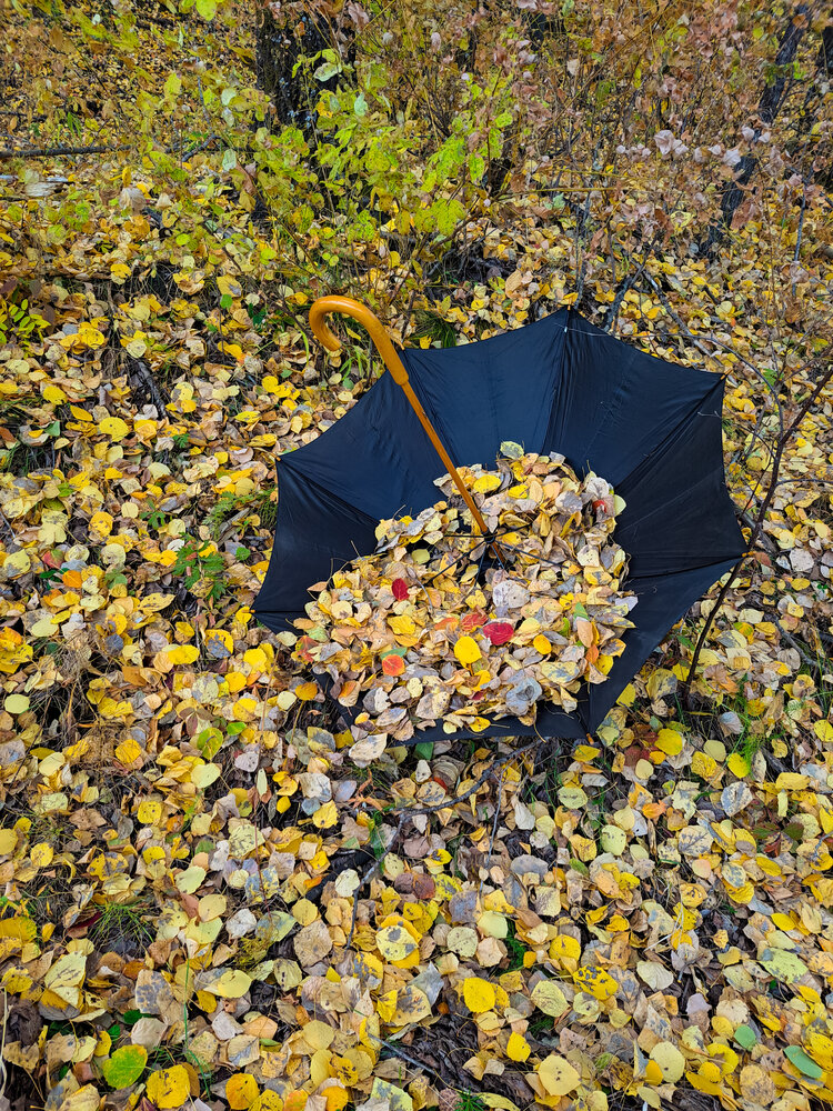 Photograph by Любовь Войтишина