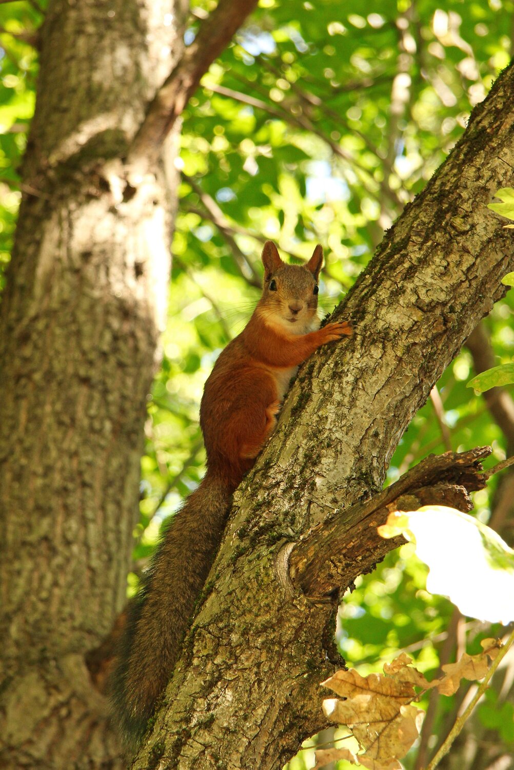 Photo #14206914