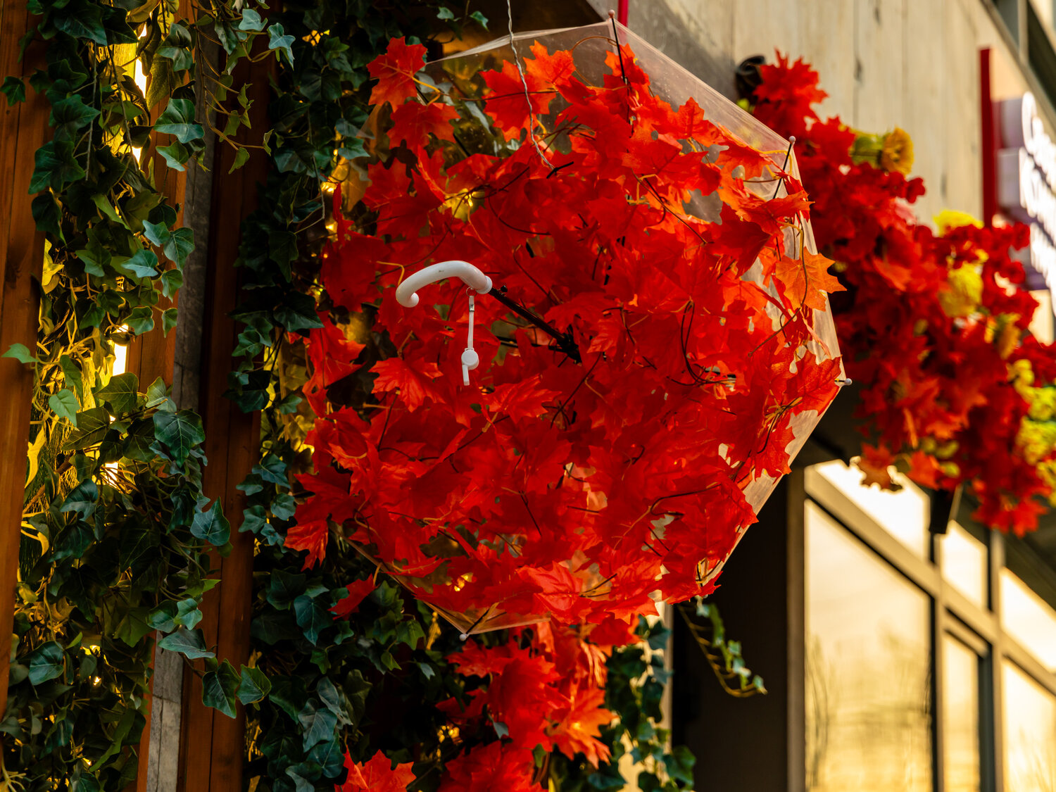 Photo #14207904