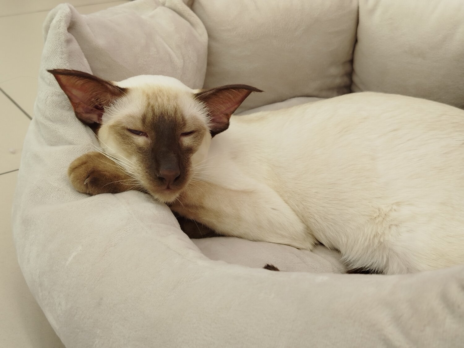 Photo #14208047
