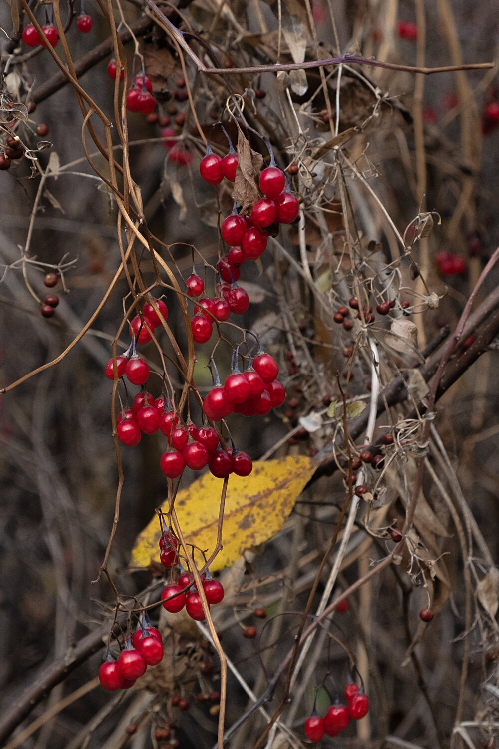 Photo #14208308