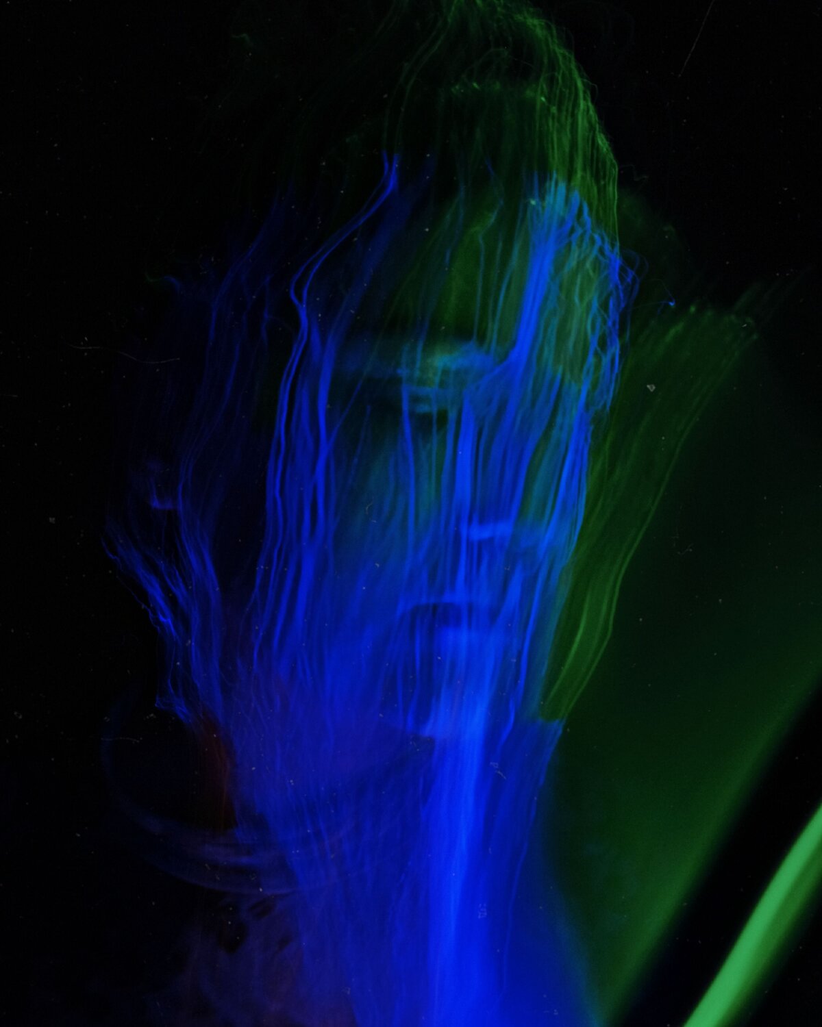 Photo #14208456