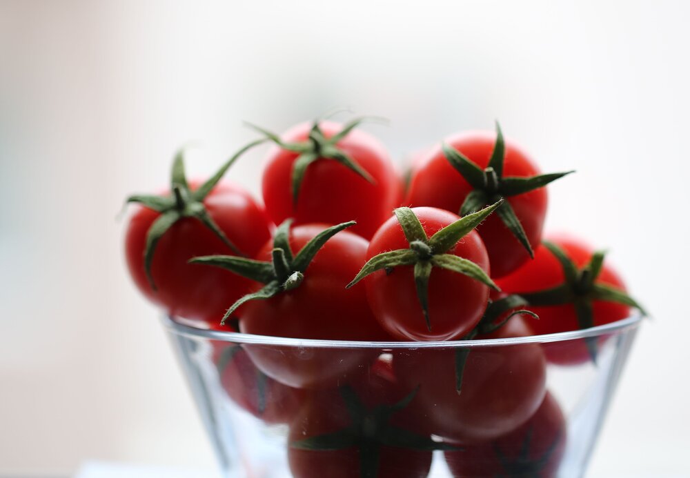 Backlit Tomatoes