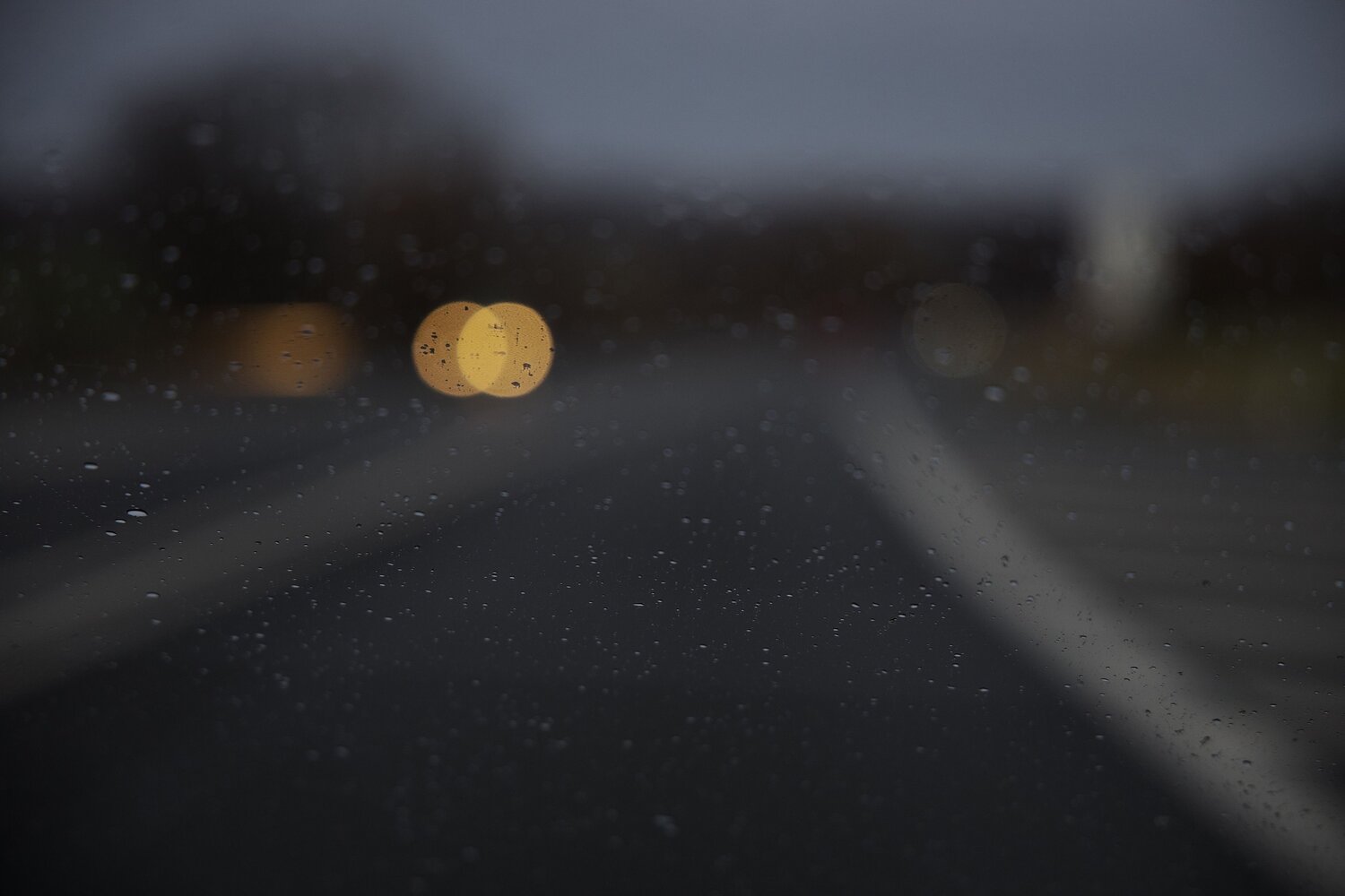 Photo #14209246