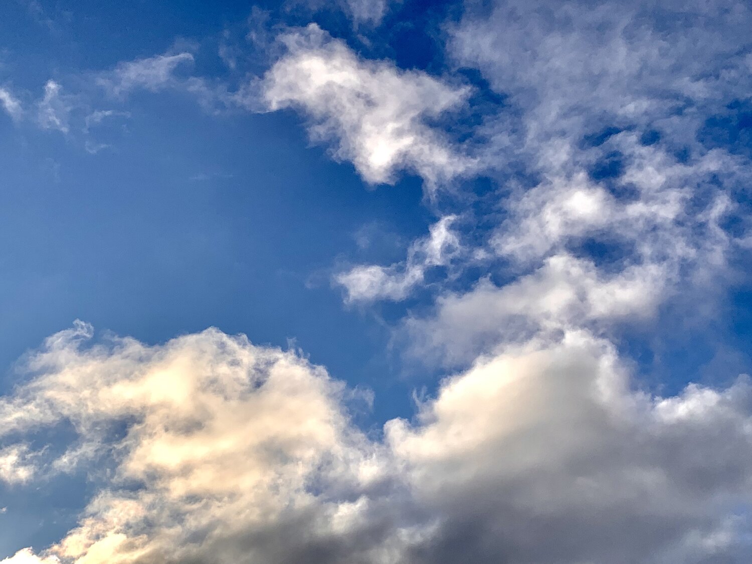 Photo #14209343