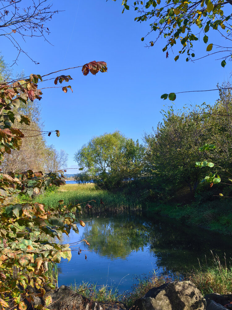 Photo #14209406