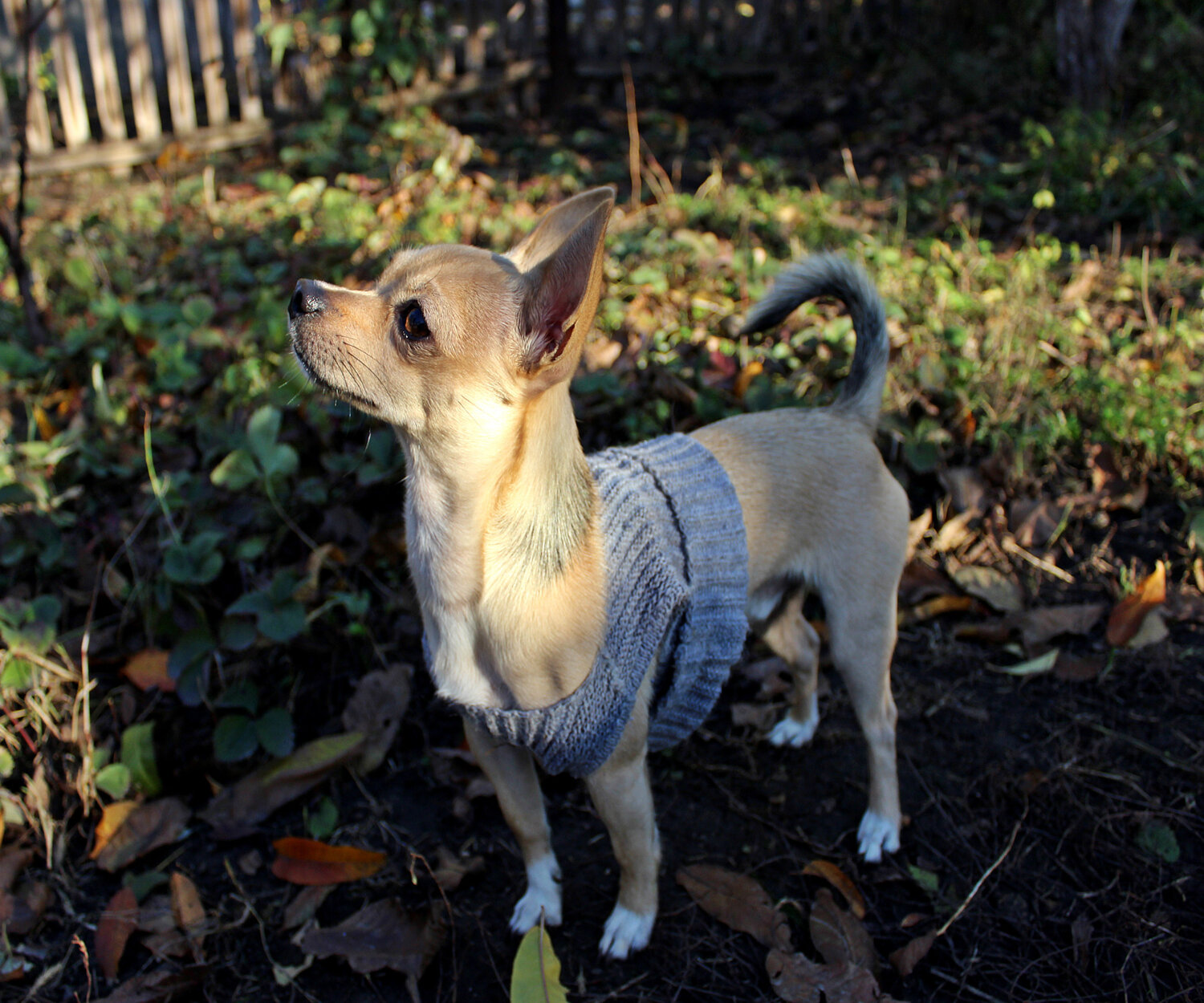Photo #14209551
