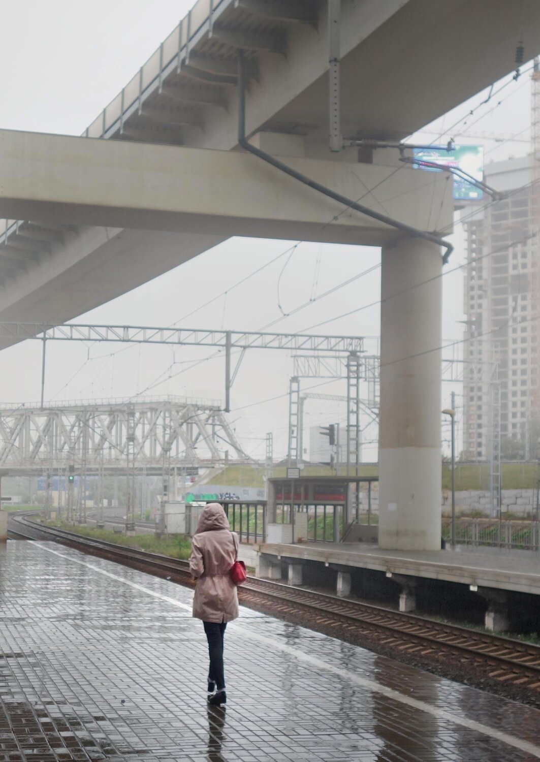 Photo #14209597