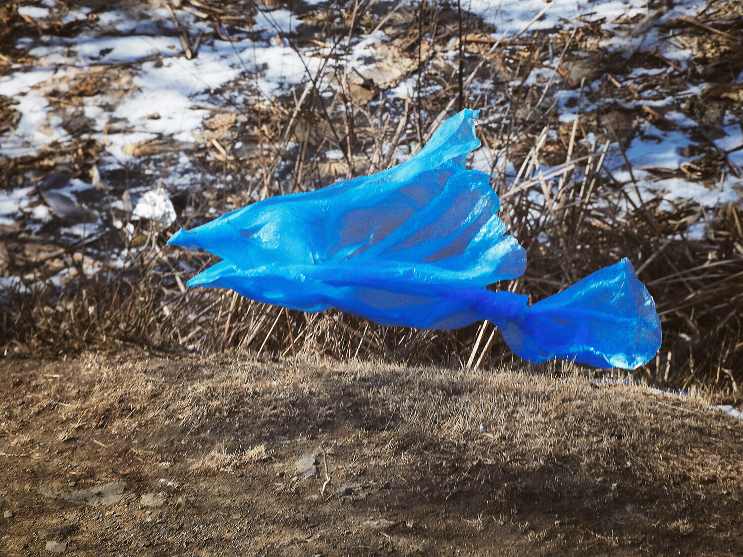 Photo #14209652