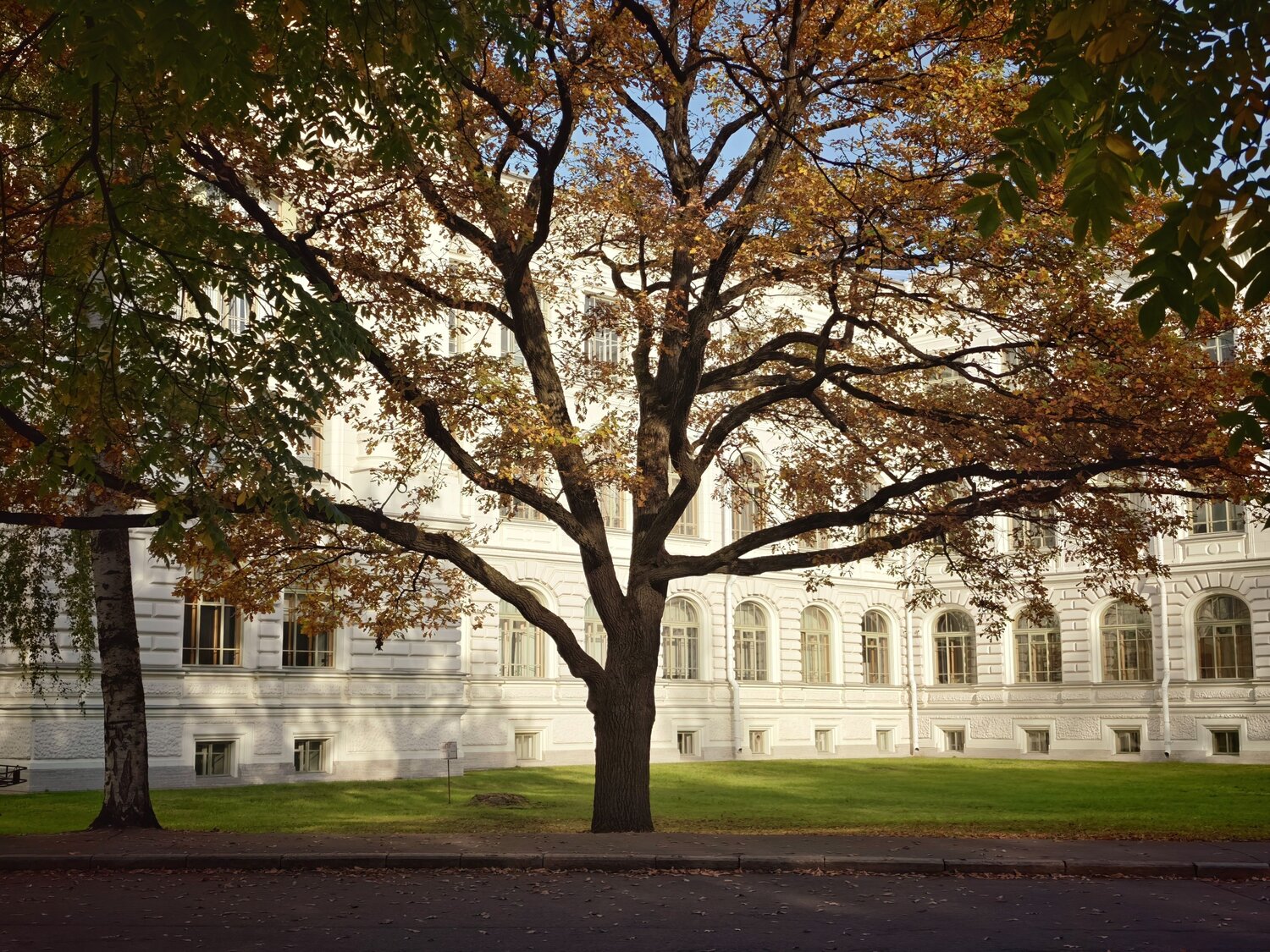 Photo #14209662