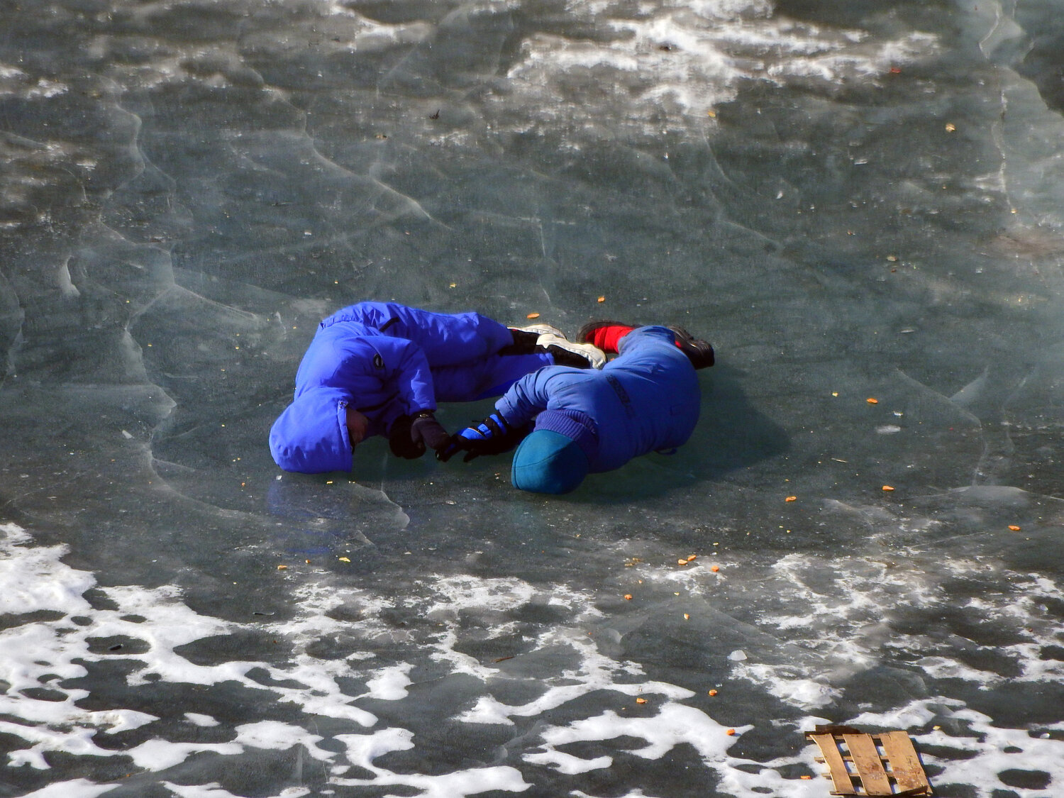 Photo #14209744