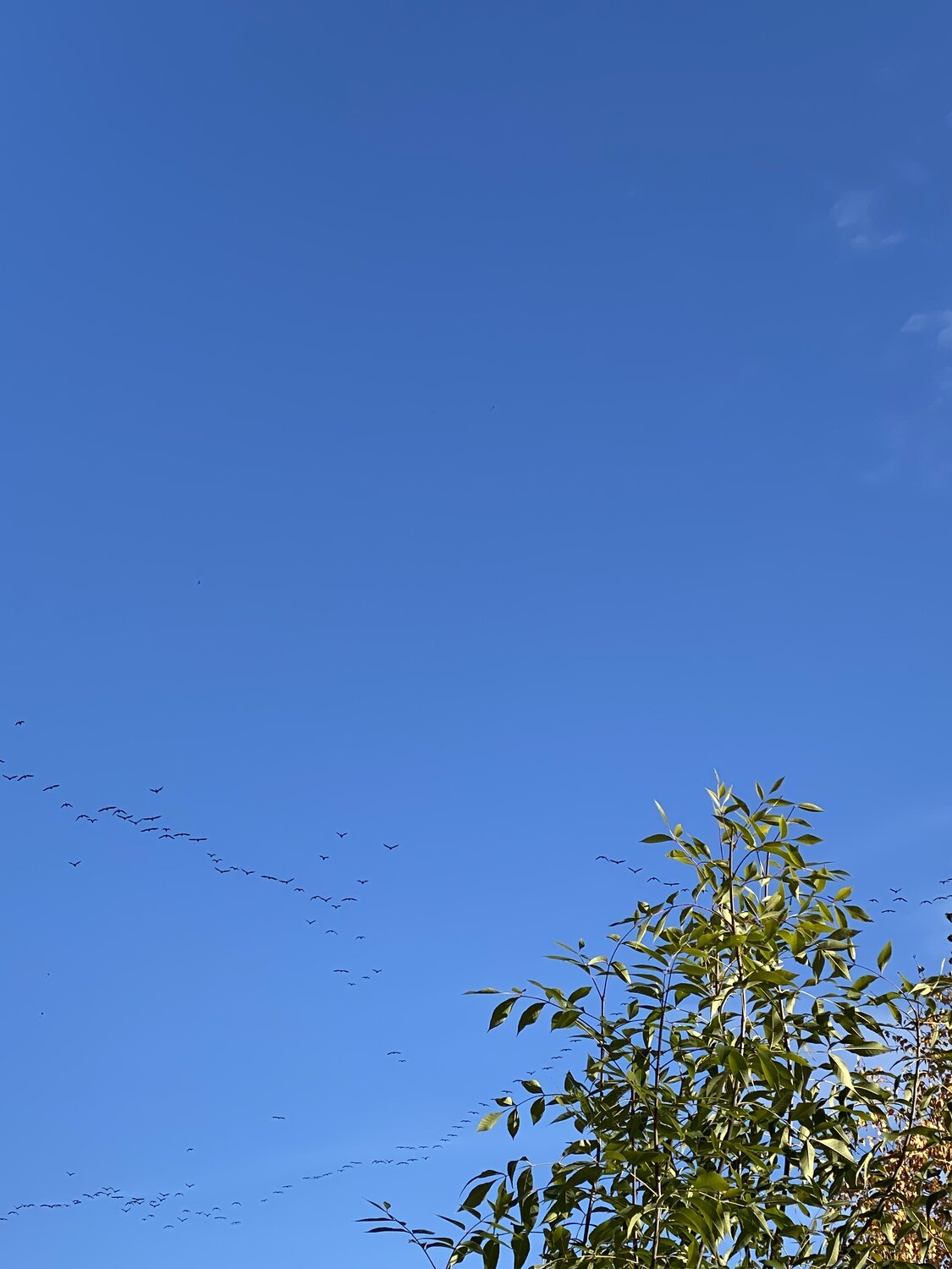 Photo #14209860