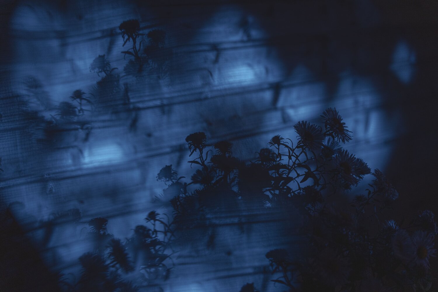 Photo #14209957