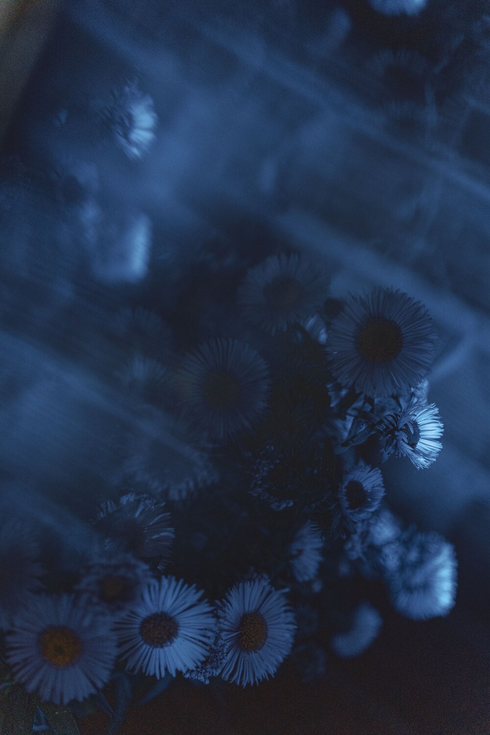 Photo #14209958