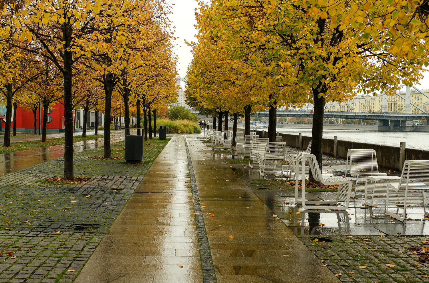 Photo #14210012