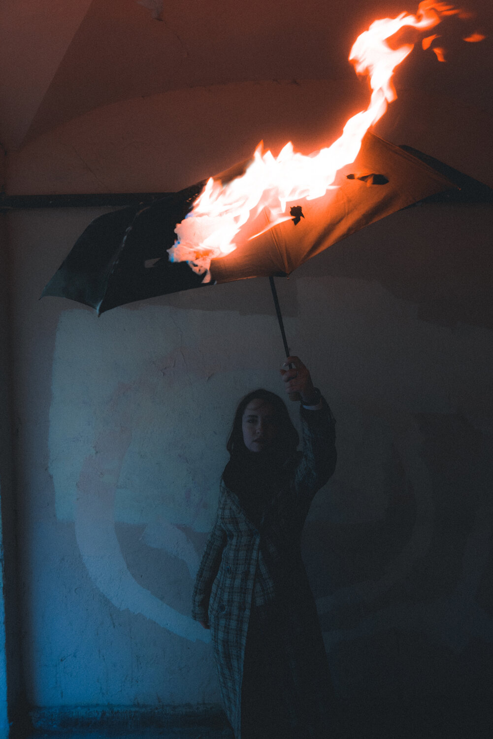 Photo #14210091
