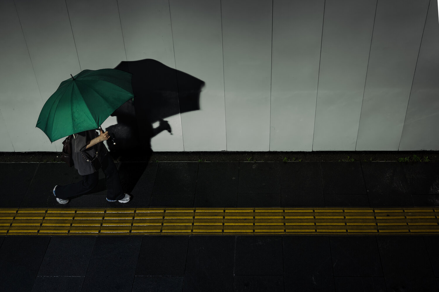 Photo #14210338