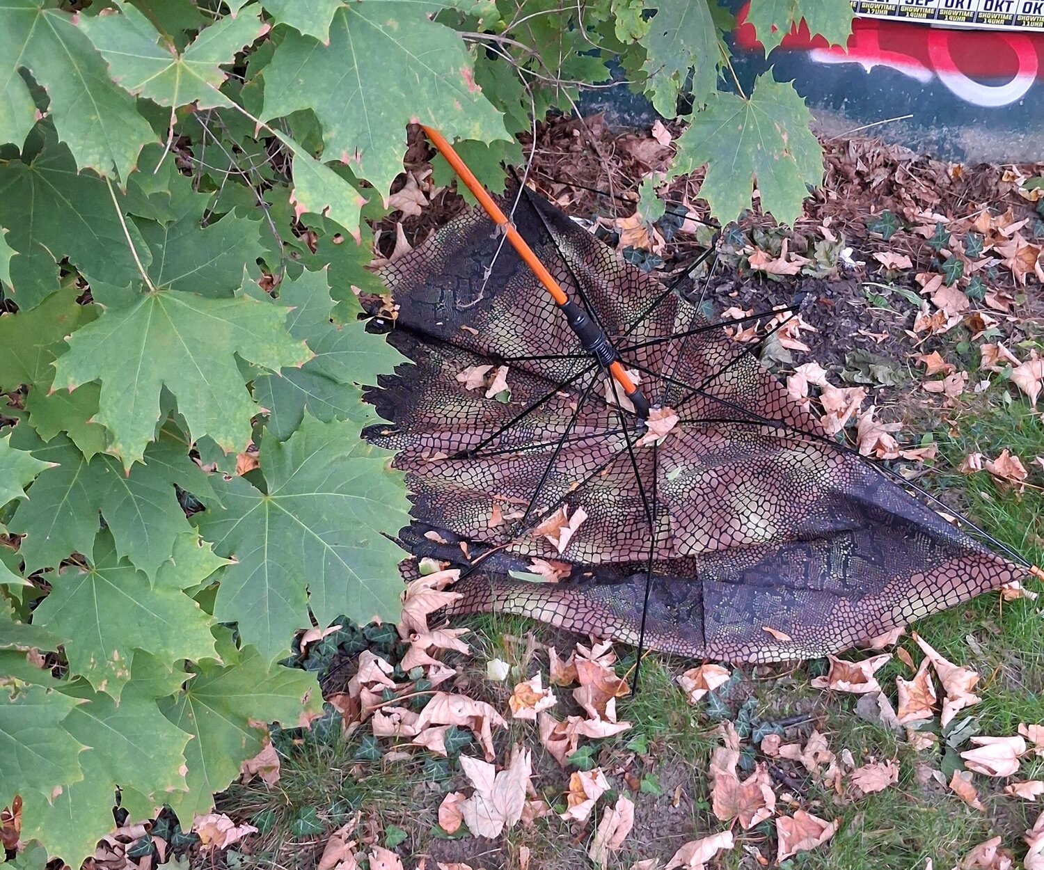 Photo #14210441