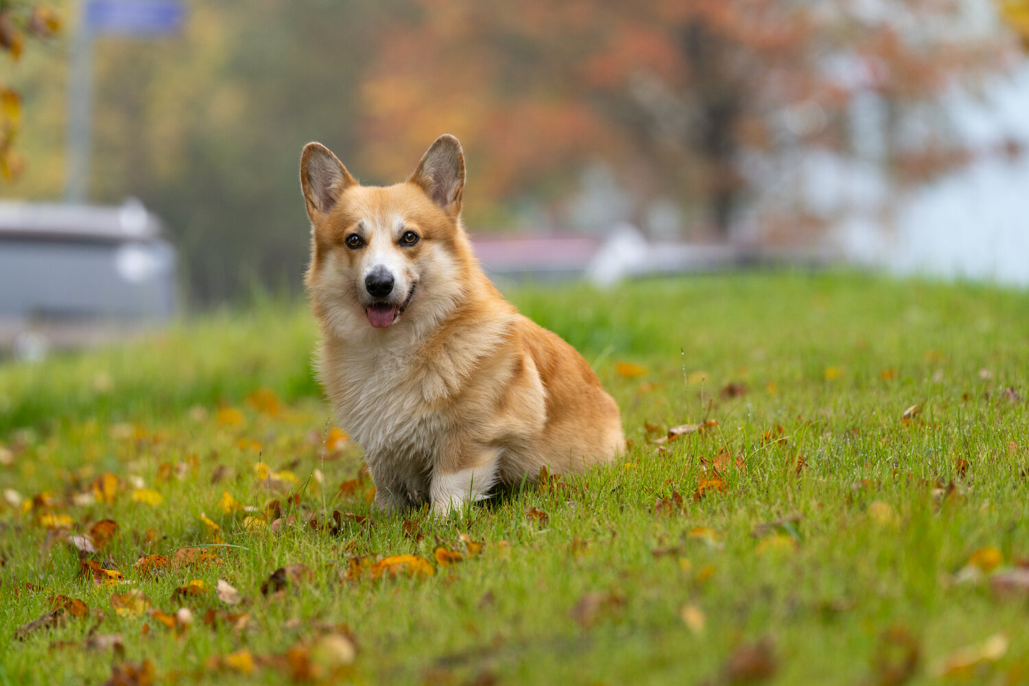 Photo #14210450