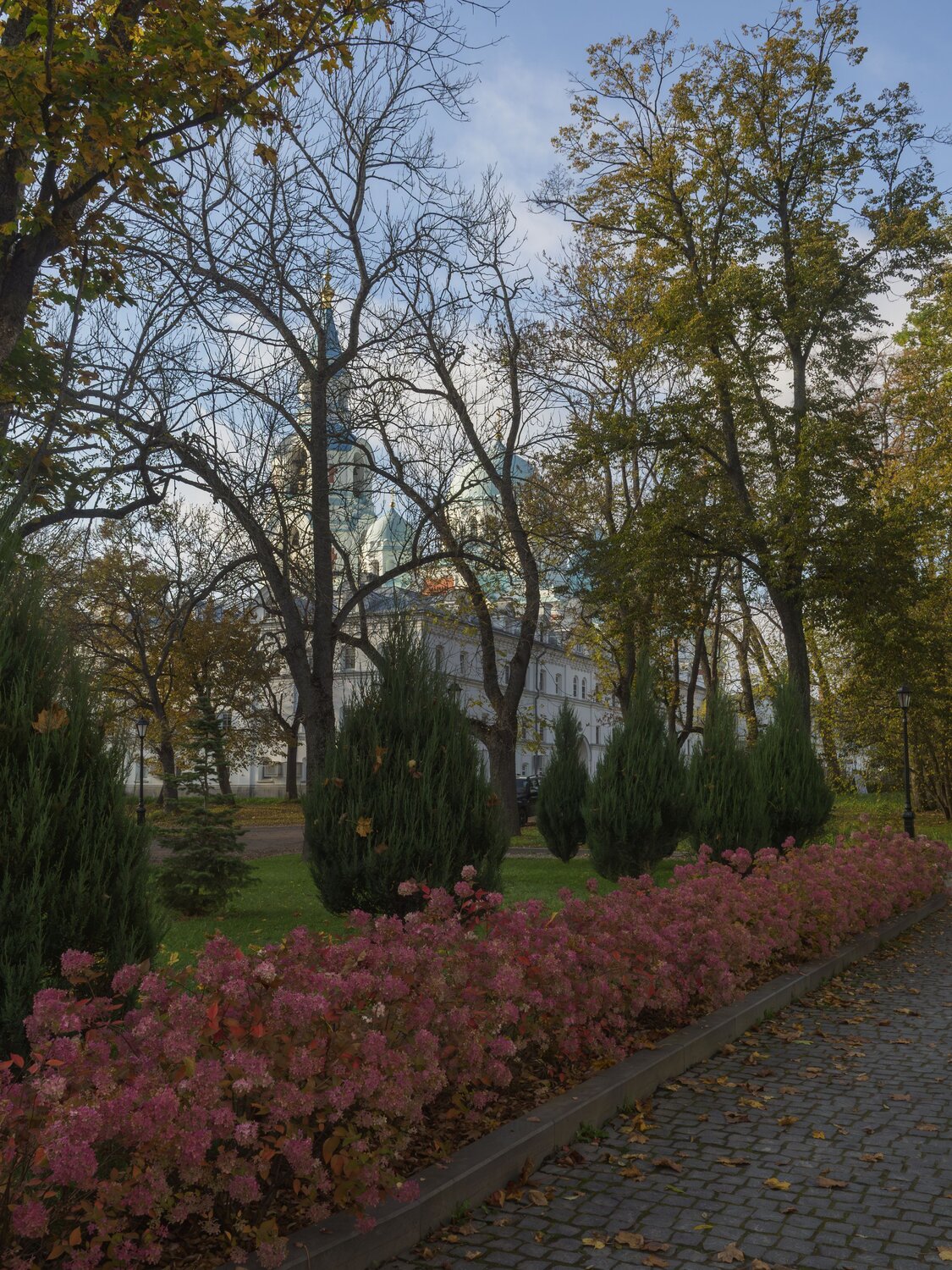 Photo #14210519