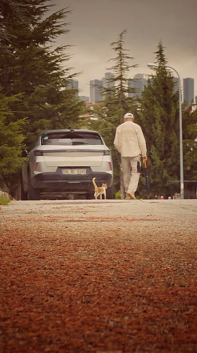 Photo #14210543