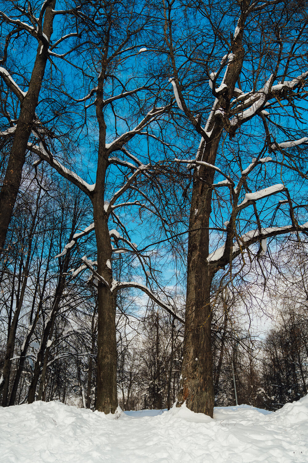Photo #14210571