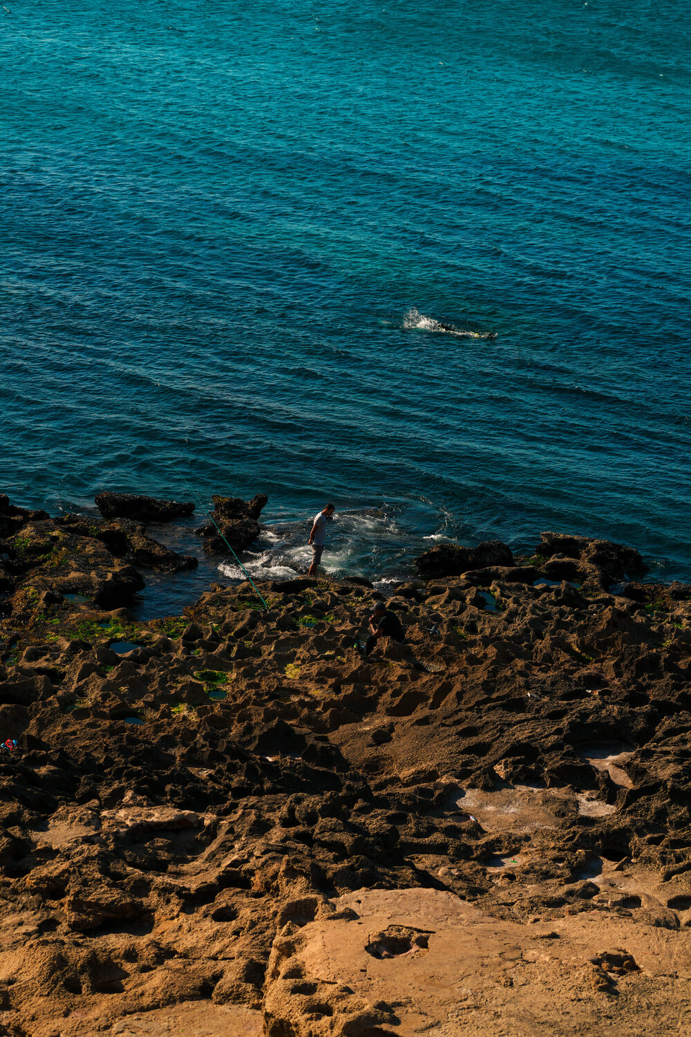 Photo #14210864