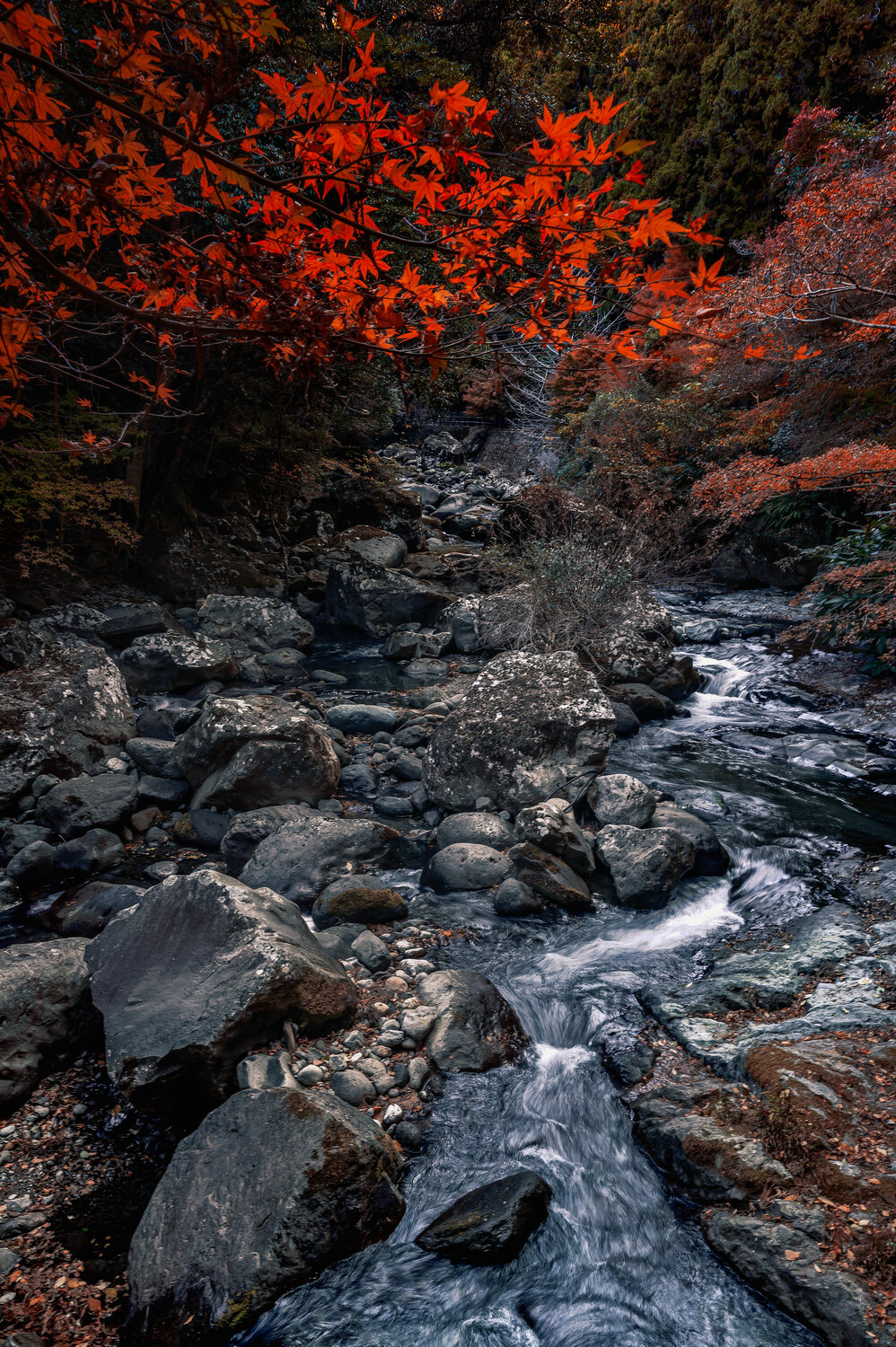 Photo #14210923